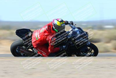 media/Feb-03-2024-SoCal Trackdays (Sat) [[767c60a41c]]/6- Turn 16 Inside Speed Pans (11am)/